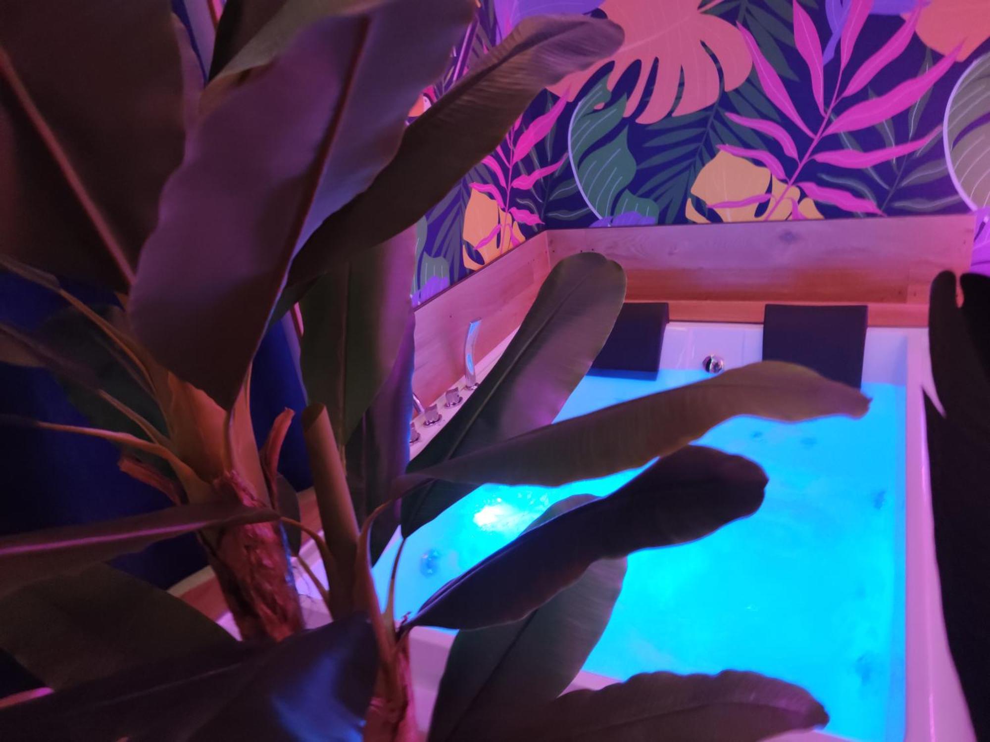Suite Maison Tropical - Luxury Apartment In Bari Zewnętrze zdjęcie